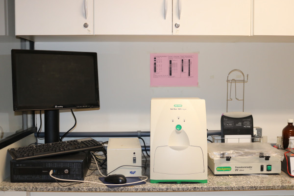Sistema de fotodocumentação de geis, Biorad, gel DOC E2 imager e Sistema de eletroforese de géis de DNA e proteína